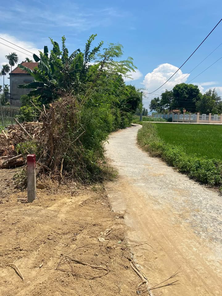 Đất Nền Nghĩa Hiệp, Tư Nghĩa 182m² giá 450 triệu - Cơ hội đầu tư tuyệt vời!