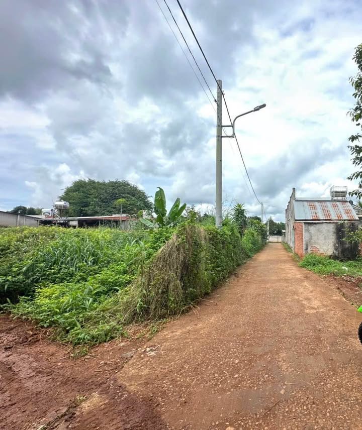 Đất nền 125m² tại Ngãi Giao, Châu Đức - Giá chỉ 1.3 tỷ, đầu tư sinh lời!