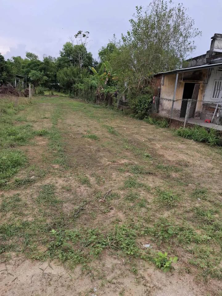 Đất nền An Phú, Tam Kỳ 200m² giá 600 triệu - Hướng Đông, cơ hội đầu tư tuyệt vời!