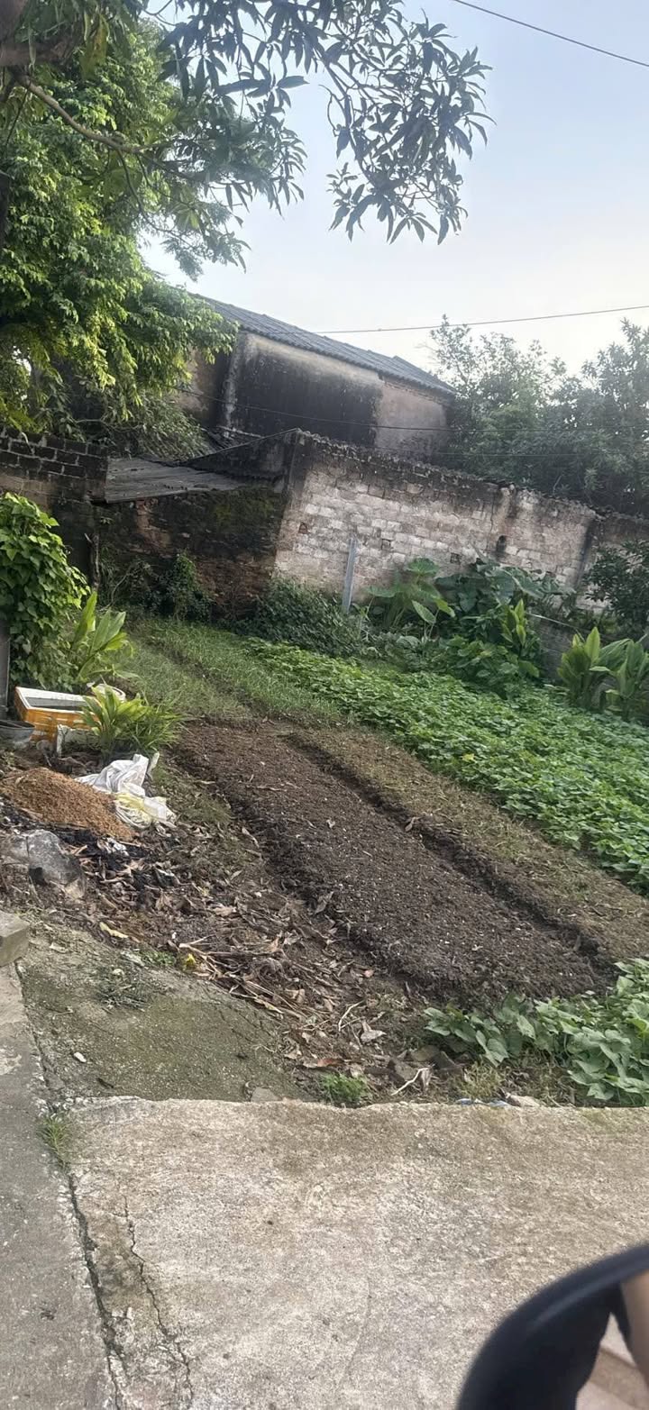 Bán đất đẹp Hoàng Đồng, TP Lạng Sơn 53.2m² giá chỉ 700 triệu - Sổ đỏ chính chủ!