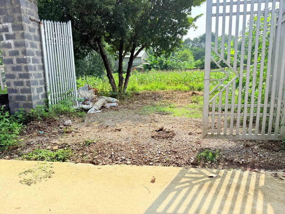 Đất nền Nhuận Trạch, Lương Sơn 1.117m² - Đầu tư sinh lời ngay!