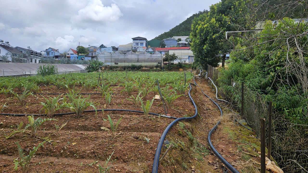 Đất nền Nguyễn Hữu Cầu Đà Lạt 2100m² giá 25.2 tỷ - Đầu tư sinh lời ngay!