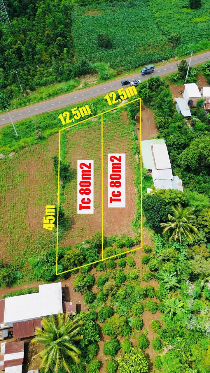 Kho nông sản cho thuê đường Tỉnh lộ 31 - Diện tích 1125m², giá thỏa thuận