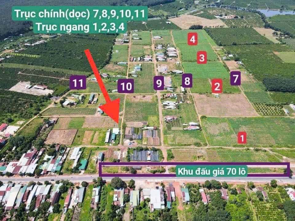 Đất thổ cư tại thôn Tân Lập A, Đăk Hring 264m² giá 480 triệu - Cơ hội đầu tư tuyệt vời!