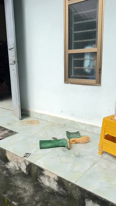 Đất thổ cư 150m² tại K5 Thanh Đình, Việt Trì - Giá chỉ 2 tỷ!