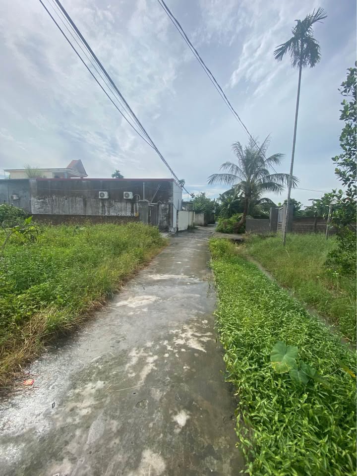 Đất đẹp tại thôn Đại Bản, An Dương, Hải Phòng 60,3m² giá chỉ 900 triệu - Đầu tư sinh lời!