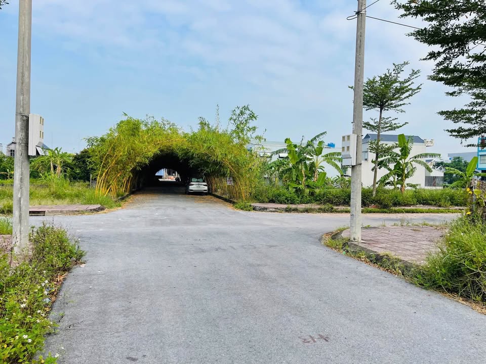 Đất nền Vân Trường, Tiền Hải 123m² giá 1.1 tỷ - Đầu tư sinh lời ngay!