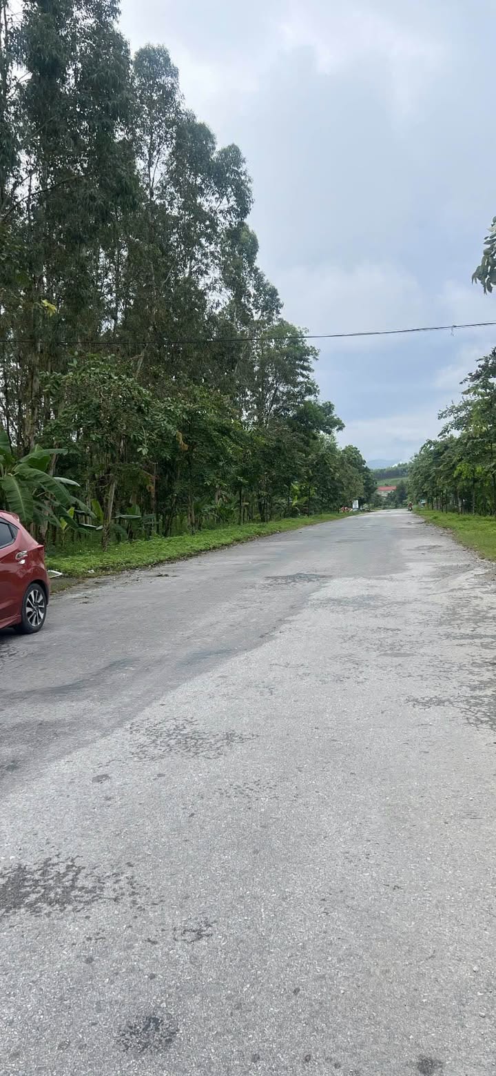 Đất nền mặt đường nhựa liên tỉnh tại thôn Hoà Mục, phường Bình Thuận - Diện tích 515m², giá thỏa thuận!