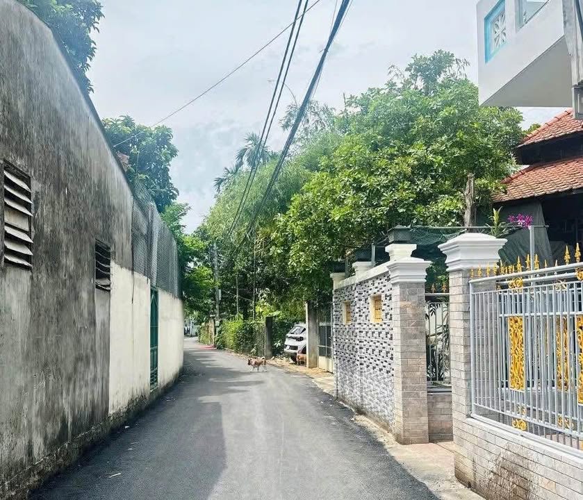 Đất nền Nghĩa Lộ, Quảng Ngãi 117m² giá 1.2 tỷ - Gần chợ, trường học!