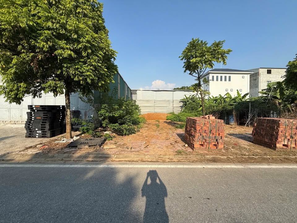 Bán đất mặt tiền đường Vũ Thế Lang, phường Thanh Miếu, 133m² - Vị trí vàng, giá tốt!