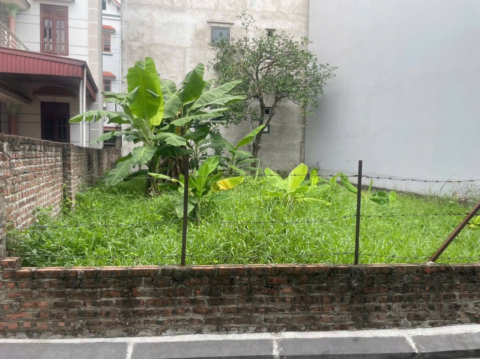 Đất nền Cổ Loa Đông Anh 75.3m² - Sổ đỏ chính chủ - Giá thỏa thuận!