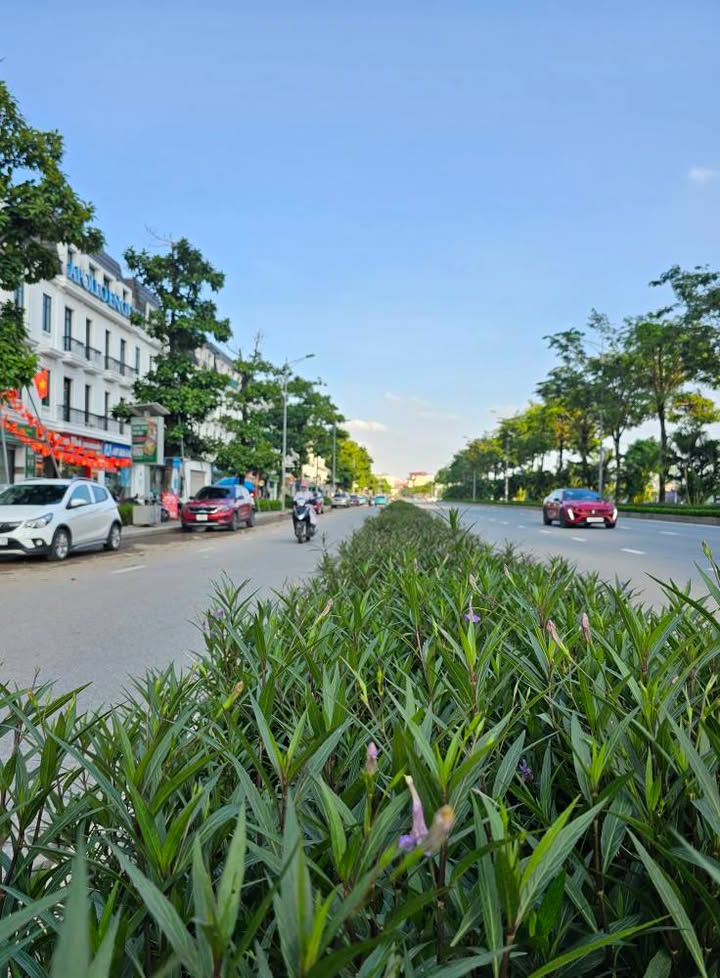 Nhà 6 tầng Xuân Đỉnh, Bắc Từ Liêm 50m² giá 7 tỷ - Vị trí vàng gần Starlake!