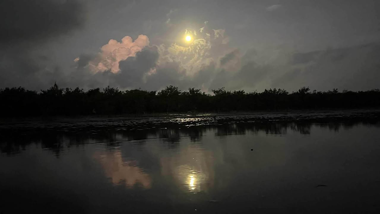 Biệt thự mặt tiền đường 2/9, Vũng Tàu 800m² giá 41 tỷ - Đầu tư kinh doanh lý tưởng!