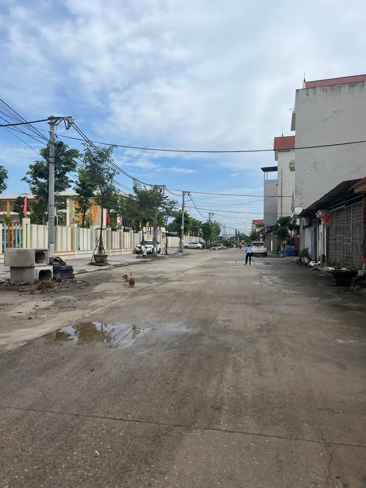 Đất nền Đại Mạch 82m² giá 4 tỷ - Ô tô vào tận nơi, chính chủ!