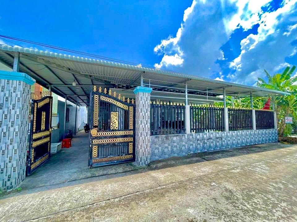 Nhà bán tại Phước Vân, Cần Đước - Diện tích 346m², giá chỉ 3.7 tỷ!