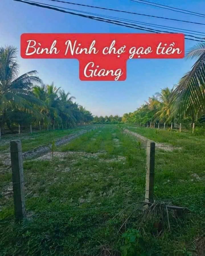 Đất nền đẹp xã Bình Ninh, huyện Chợ Gạo - 1928m² chỉ 1.79 tỷ - Cơ hội đầu tư tuyệt vời!