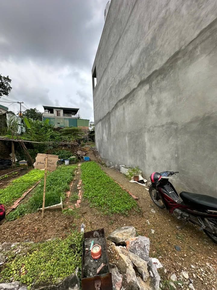 Đất nền chính chủ phường Quang Hanh 61.8m² giá 1 tỷ - Sổ đỏ đầy đủ, ô tô đỗ cửa!