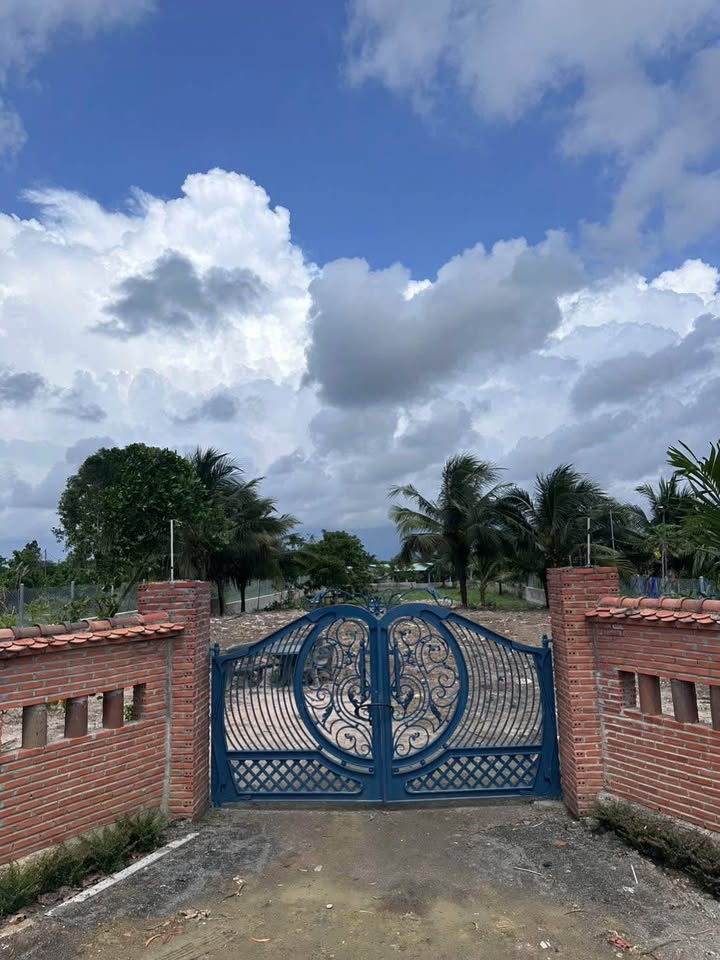 Đất làm nhà vườn 1600m² tại Phước Hải - Phù hợp nghỉ dưỡng!