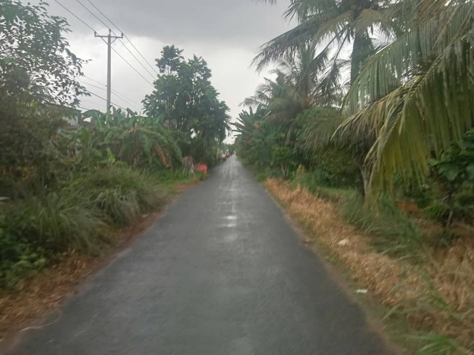 Đất mặt tiền Long Thới, Tiểu Cần, Trà Vinh 205m² giá chỉ 375 triệu - Cơ hội đầu tư hấp dẫn!