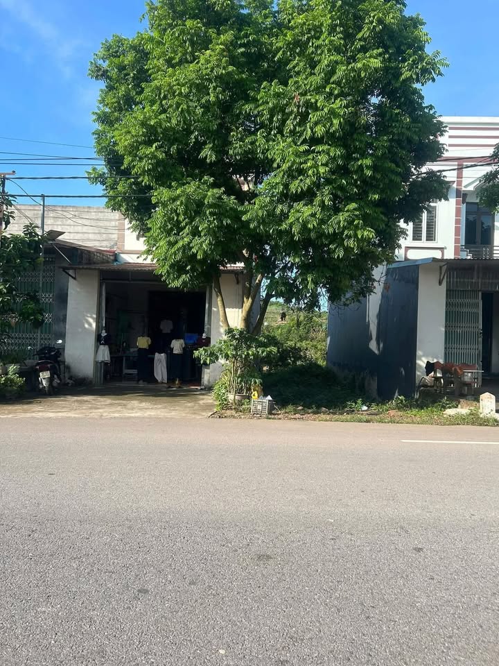 Đất nền phường Chũ, Bắc Giang 100m² giá 1 tỷ - Đầu tư sinh lời ngay!