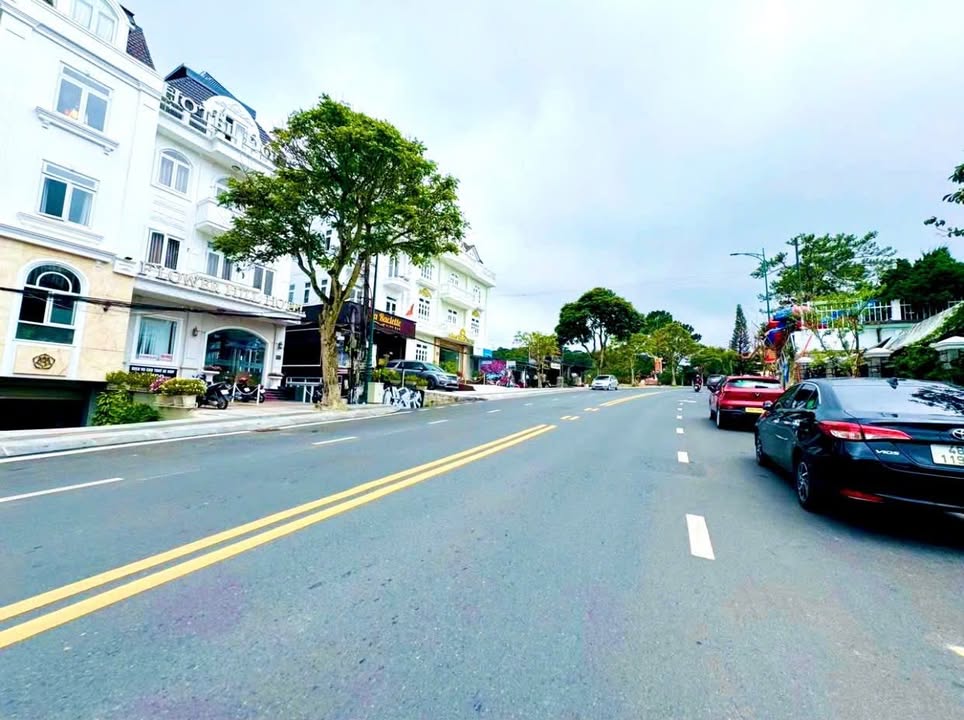 Đất mặt tiền đường Lê Hồng Phong Đà Lạt 440m² giá 48 tỷ - Kinh doanh ngay!