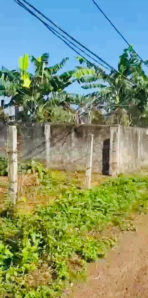 Đất nền 510m² hẻm 91 Hà Huy Tập, P. Thống Nhất, Gia Lai - Giá chỉ 580 triệu!