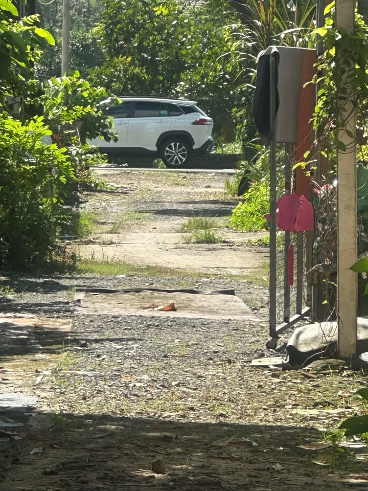 Đất nền xã Tân Thông Hội, Củ Chi 1000m² giá 2.5 tỷ - Đầu tư sinh lời ngay!