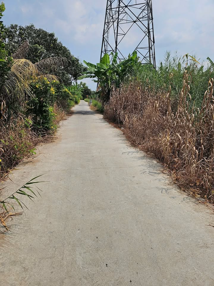 Đất nền Mặt tiền 30x69m Phường 1, Thị xã Cai Lậy - Giá 3.5 tỷ, thương lượng!