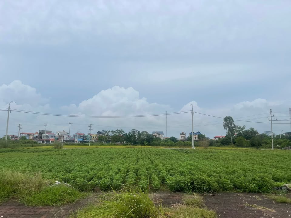 Đất nền Nguyên Hòa Phù Cừ 101m² giá thỏa thuận - Mặt tiền đường thông tứ ngả!