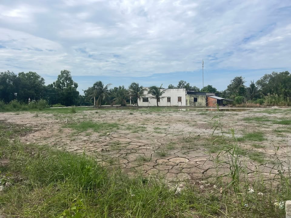 Đất nền 50m² tại ấp Ông Muộn, xã Lý Văn Lâm, giá chỉ 3xx triệu - Đầu tư sinh lời!