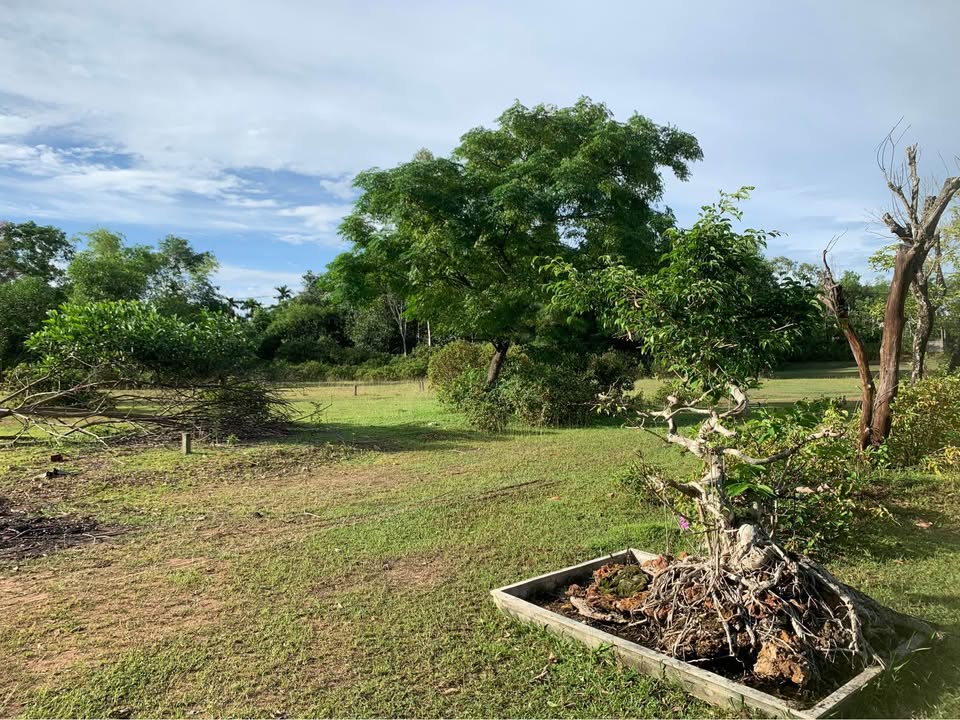 Đất ở xã Thủy Bằng, TP Huế 6500m² giá thỏa thuận - Tiềm năng đầu tư lớn!