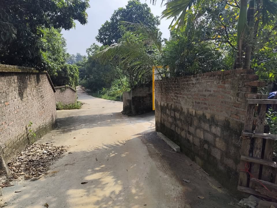 Đất thổ cư Cẩm An, Ba Vì 770m² giá chỉ 2 tỷ - Đầu tư sinh lời cao!