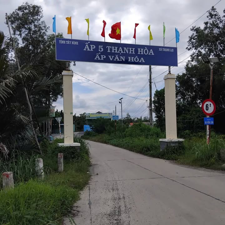 Bán đất thổ cư mặt tiền đường Đan Kênh Ba Vồn Lớn, 250m² giá 1 tỷ - Đầu tư sinh lời ngay!