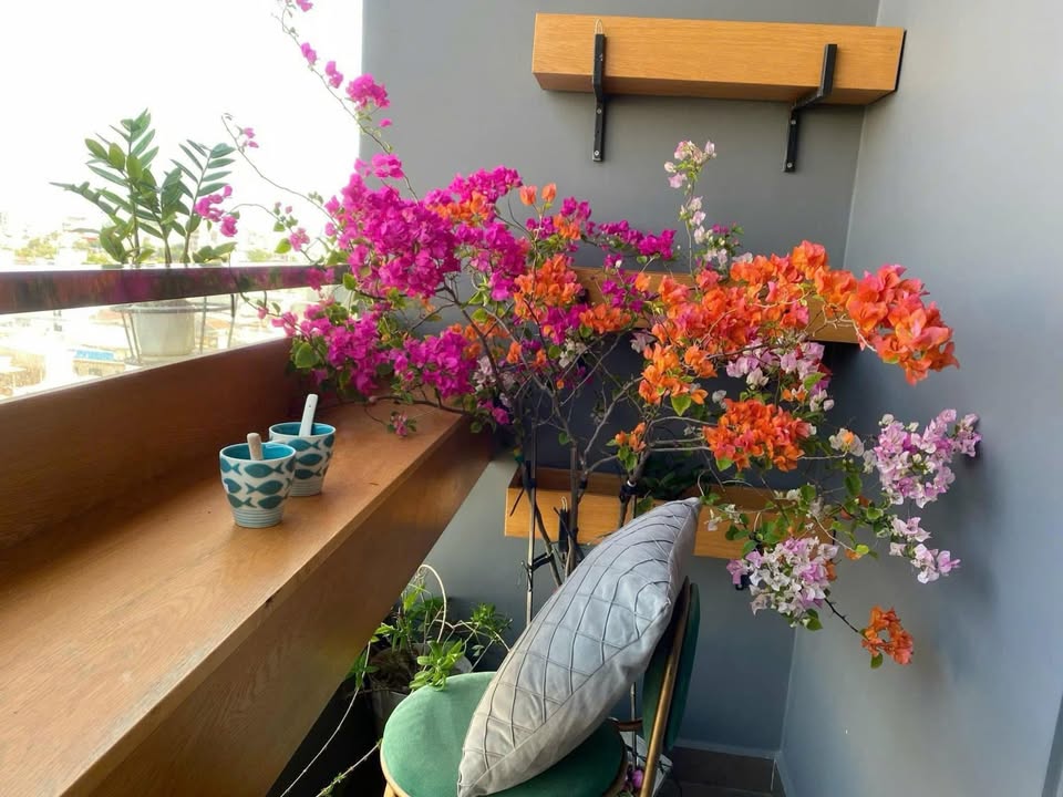 Căn hộ 1 phòng ngủ Đường Trần Hưng Đạo, Sơn Trà - Giá thỏa thuận, gần cầu Rồng!