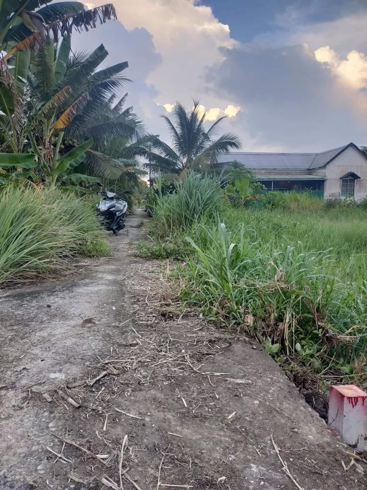 Đất nền Phú Tân Bến Tre 284m² giá 908.8 triệu - Cơ hội đầu tư tuyệt vời!