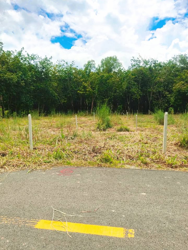 Đất thổ cư An Linh 182m² giá 390 triệu - Cơ hội đầu tư sinh lời!