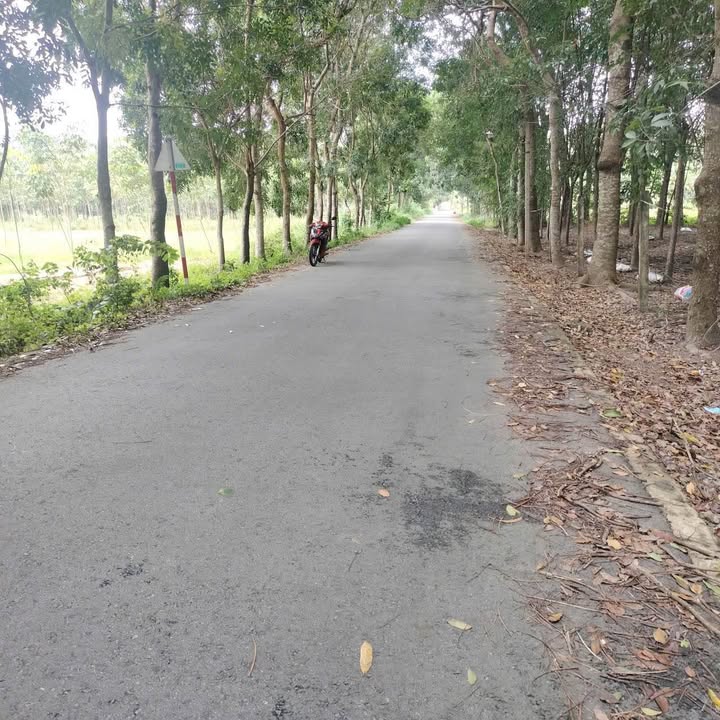Đất nền Chánh Phú Hòa 200m² giá 1.1 tỷ - Gần KCN Mỹ Phước 3