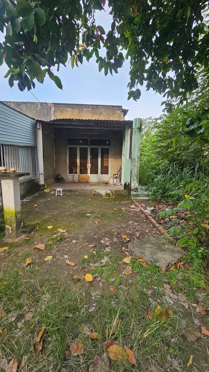 Nhà cấp 4 Hội Nghĩa, Tân Uyên 115m² giá 2.28 tỷ - Đất nở hậu, chính chủ!