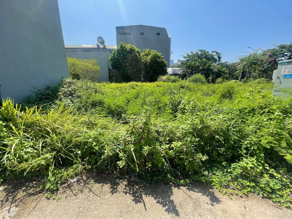 Lô đất 100m² tại Đồng Hin, Vĩnh Yên chỉ 2.7 tỷ - Cơ hội đầu tư tuyệt vời!