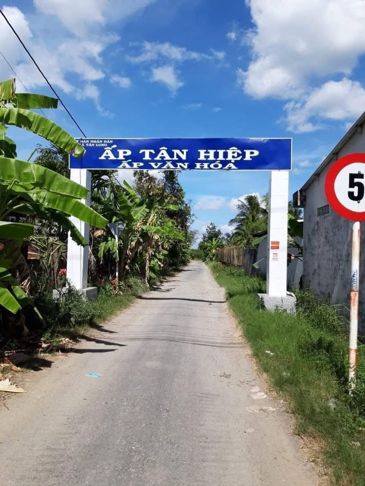 Bán đất vườn 3189m² tại Tân Long, Mang Thít - Gần Quốc lộ 53