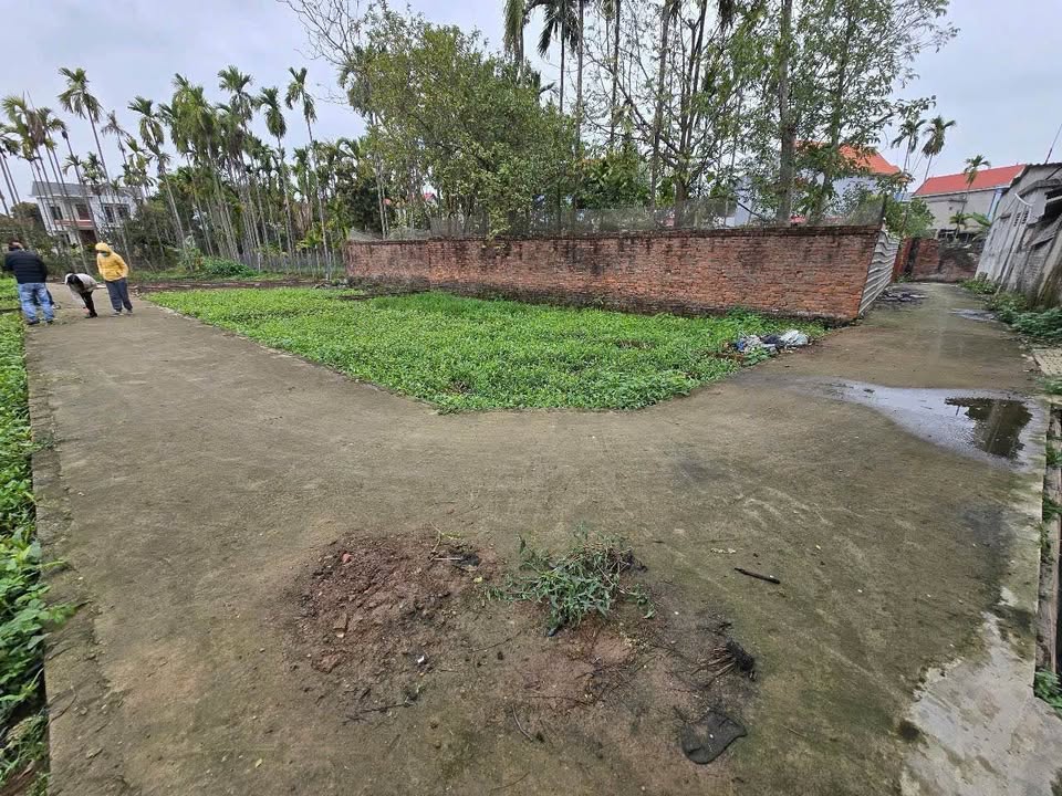 Đất nền Thọ Lộc, Đan Phượng 48m² giá 1.44 tỷ - Cơ hội đầu tư tuyệt vời!