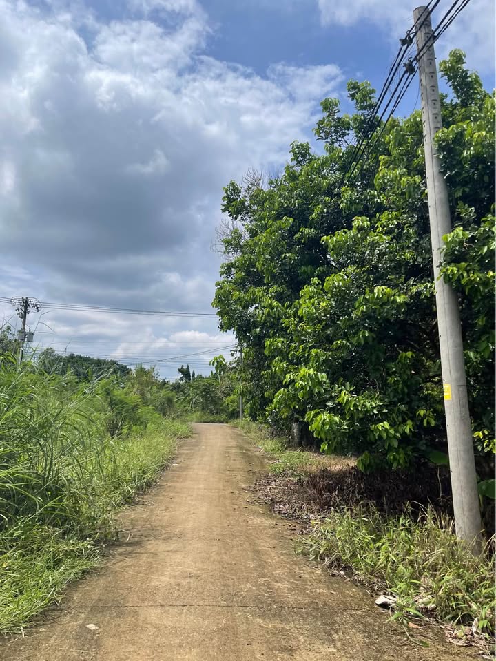 Đất nền 3600m² tại Thống Nhất, Đồng Nai - Giá chỉ 1.25 tỷ, đầu tư sinh lời!