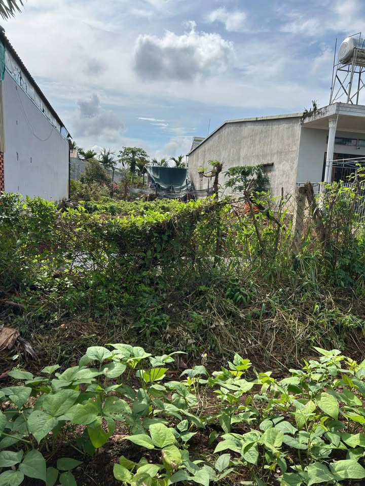 Đất nền Hẻm 194 Nguyễn Lương Bằng, Tân Lập 250m² giá 75 tỷ - Đất thổ cư 100%!