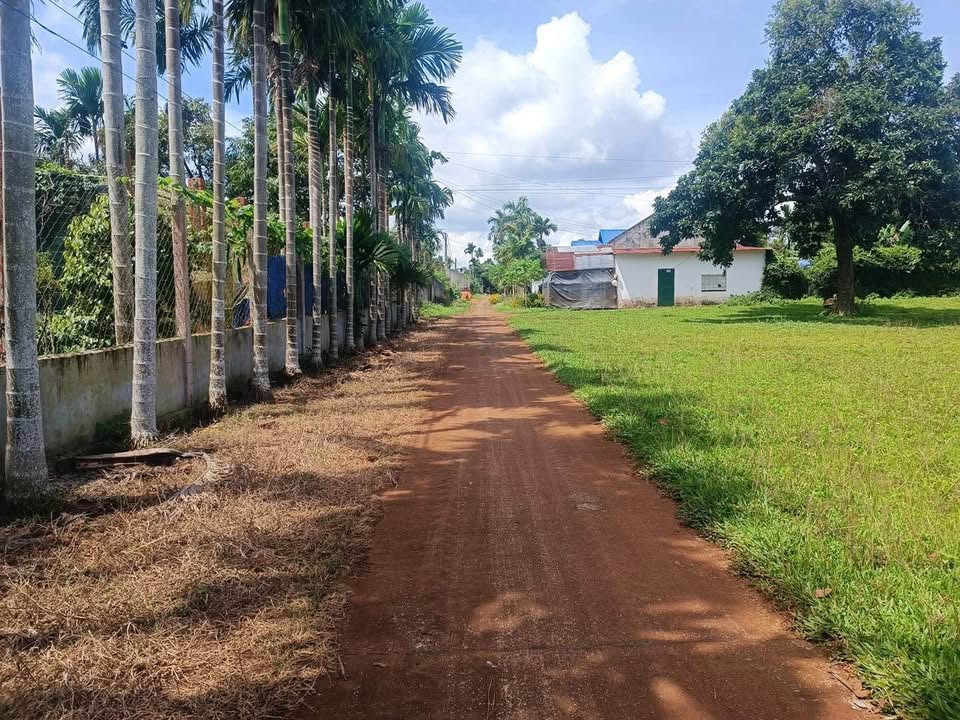 Đất thổ cư 115m² tại Km 17, xã Hòa Đông, Krông Pắc - Giá chỉ 420 triệu!