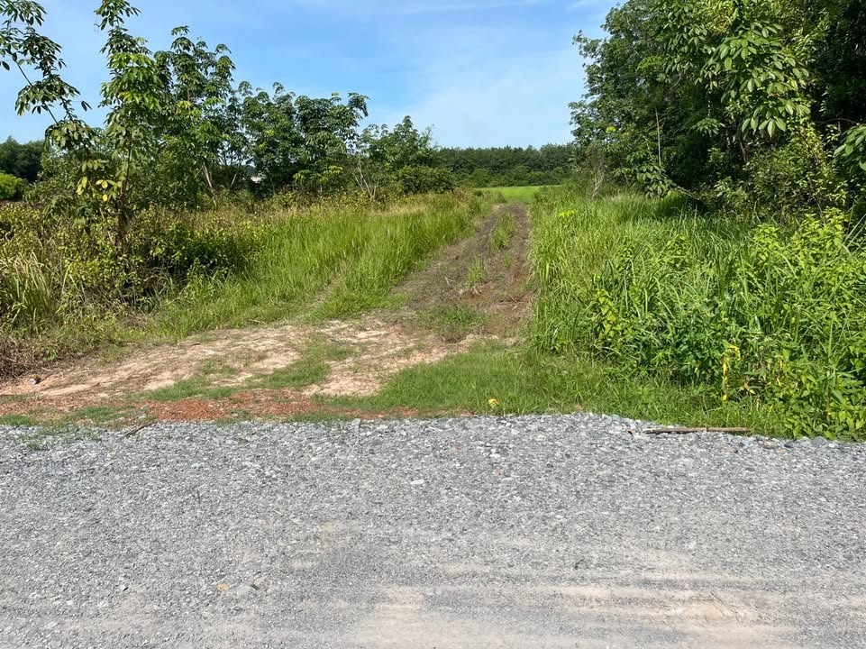 Đất thổ cư 900m² Phước Đông 3.4 tỷ - Tiềm năng đầu tư lớn!