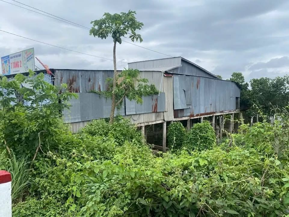 Nhà và đất mặt tiền Võ Văn Kiệt, Tân Mỹ, 147m² giá chỉ 450 triệu - Cơ hội đầu tư tuyệt vời!