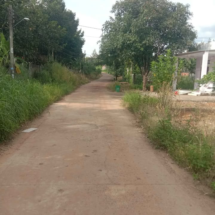 Đất nền Tân Phước Đồng Phú 2100m² giá 320 triệu - Đường thông tiện lợi!