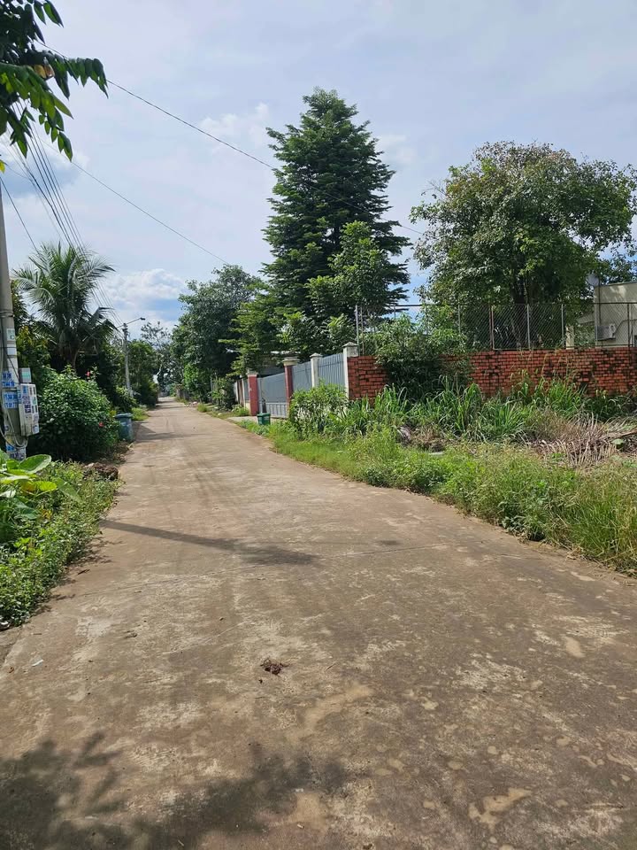 Đất xây trọ Tiến Hưng, Đồng Xoài 500m² giá 2 tỷ - Đầu tư sinh lời ngay!