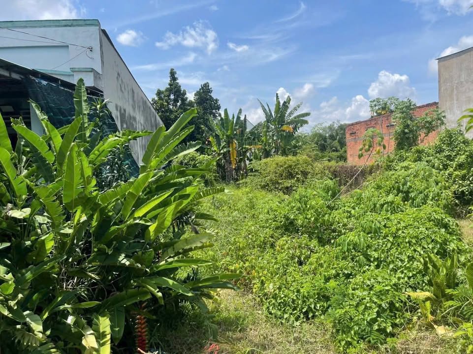 Đất nền Hậu Nghĩa - Đức Hòa 120m² giá 1.5 tỷ - Đầu tư sinh lời ngay!