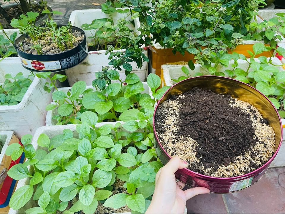 Nhà mặt tiền Dương Văn An, Phường Xuân Phú, TP Huế 121m² - Vị trí đắc địa trung tâm